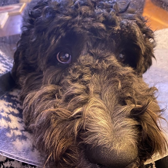 Meet your Posher, Agnieszka - Picture 3 of 3